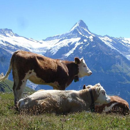 Beim See Grindelwald Kültér fotó