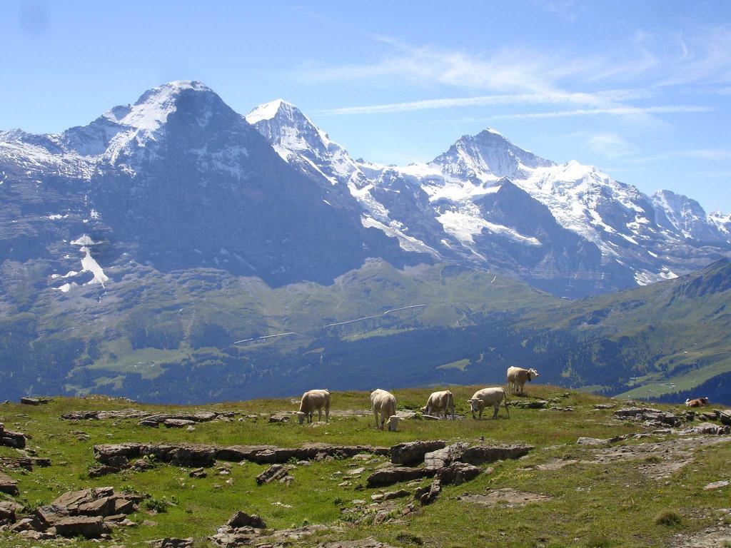 Beim See Grindelwald Kültér fotó
