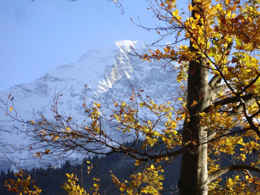 Beim See Grindelwald Kültér fotó