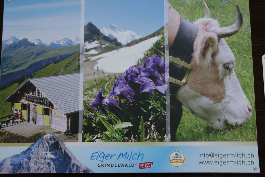 Beim See Grindelwald Kültér fotó